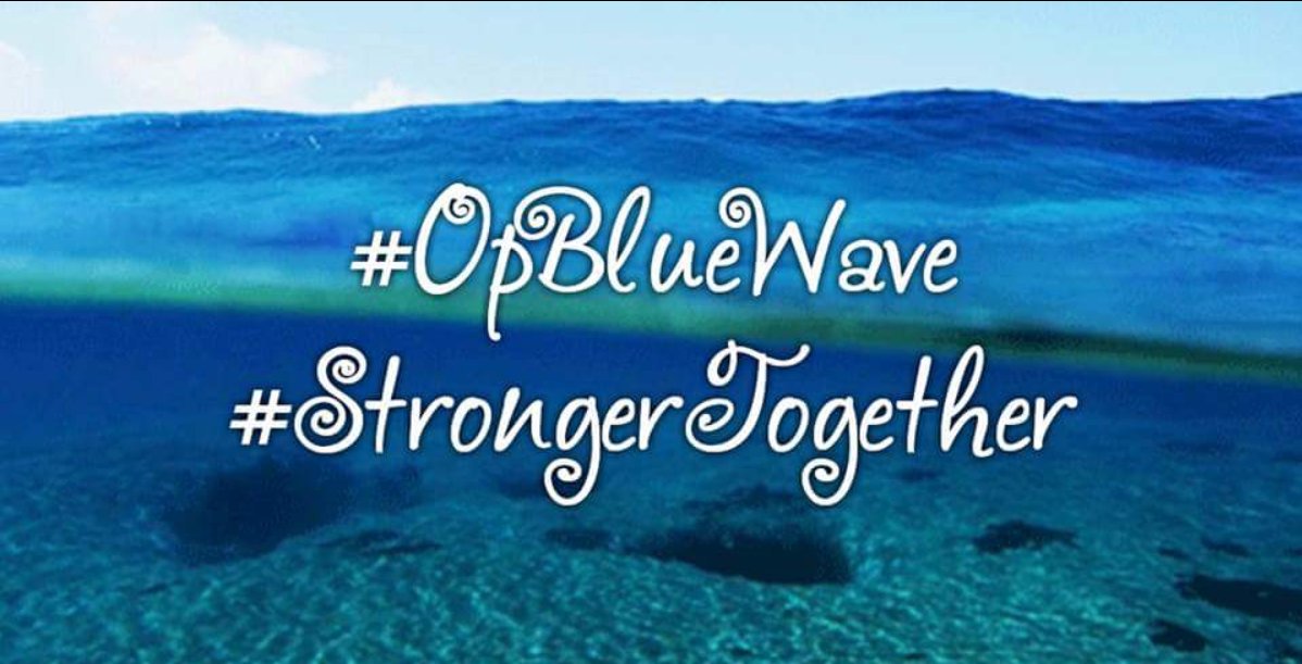 OpBlueWave2018's tweet photo. This IS the official "home base" for #OpBlueWave (formerly C & TheQuietAnon). I will still host the nightly #FBRHour from 8-9pm Eastern, but I need to get back to work slowly on this new account first. I missed everyone! 💙 #OpResistance #TheResistance #FBR #StrongerTogether https://t.co/8XPURTU2AM
