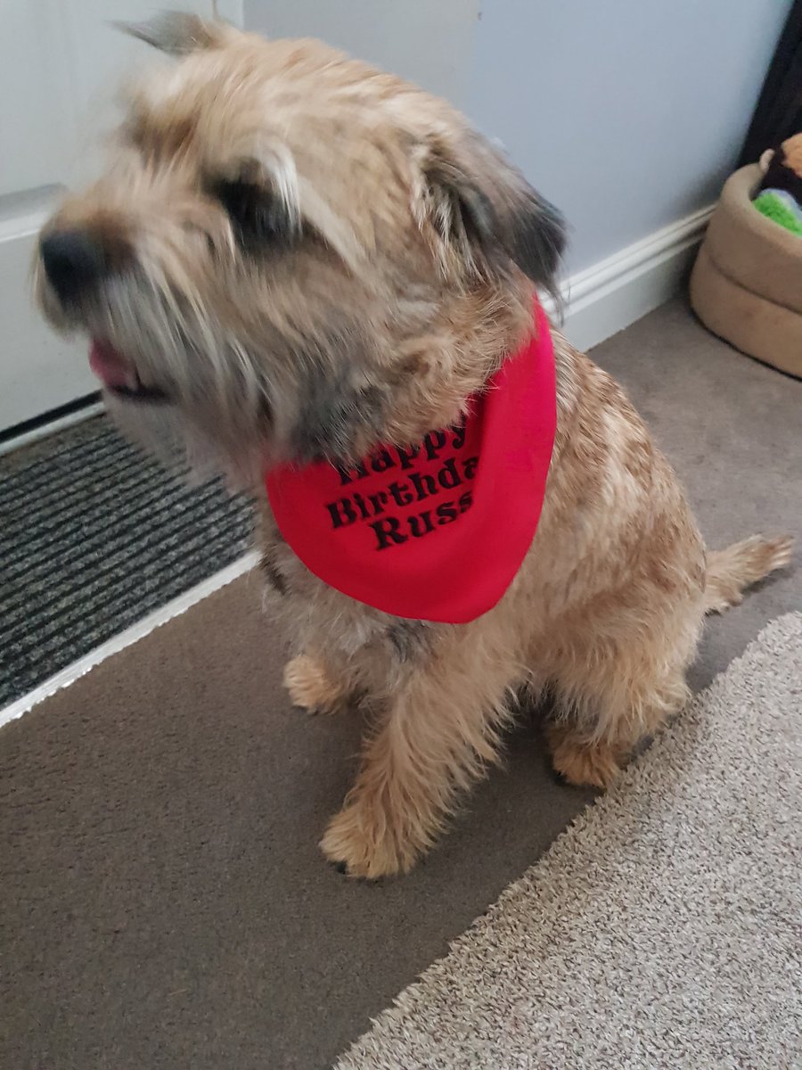 Russ_inator's tweet photo. I is 3 today https://t.co/3fJaTdyMsn