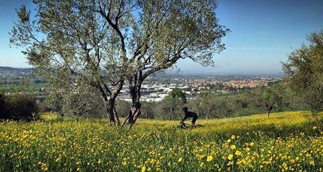 bbuldrini's tweet photo. : yellow moments ☀️#scenary #happiness #sundaymorning #verucchio #mtbgram #mtblife #loves_mtb #instamtb #instapic #mtb #mountainbikefb #mountainbike #riminilovesbike #myrimini #rimining #stravacycling #stravaphoto #cyclinglife #cycling #cyclingshots … https://t.co/hDqYlRoN7b https://t.co/NHIcdifRoS