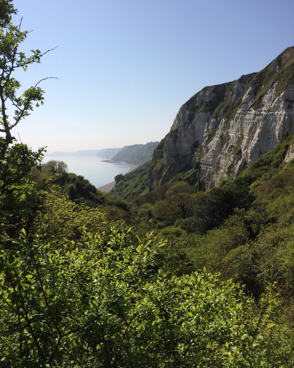 roscopackman's tweet photo. A perfect #BankHolidayWeekend #adventure, walking the @swcoastpath between Beer and Branscombe.
Peregrines, Ravens and a tiny Adder, basking right on the path!
#Devon, #JurassicCoast, #England.

#walking #hiking #swcoastpath #wildlife #nature https://t.co/5cHyb6eVNc