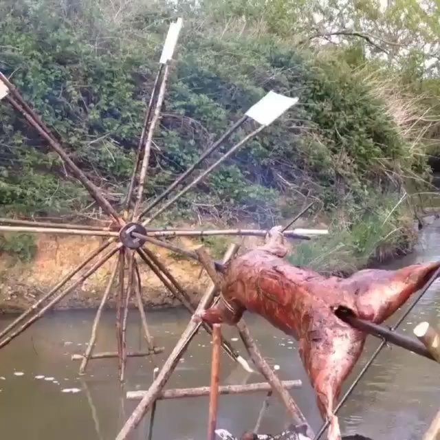 THIS is how to roast a pig!
🐖
Video shot by @huntergathercook
Found via @meatcurator
・・・
A thing of beauty! Waterwheel spit roast venison was epic- 5 hours of slow cooking, wild herb basting & fat injections- thanks @djbbq & @niall_davidson for the f… ift.tt/2roB1dy