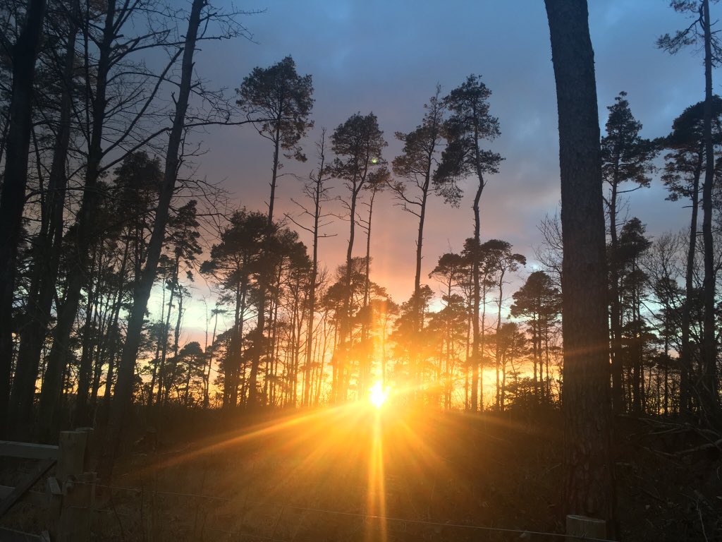 SAAC_Trail's tweet photo. The Arts Trail begins in Slackhead, Beetham this year! Don’t forget to visit the Fairy Steps - the perfect place to catch a sunset after seeing the artists. 🧚‍♀️ 

#saact18 #Beetham #fairysteps #sunset #arttrail #art #photography #rural #village #silverdale #arnside #walking https://t.co/I2hcZvQuTW