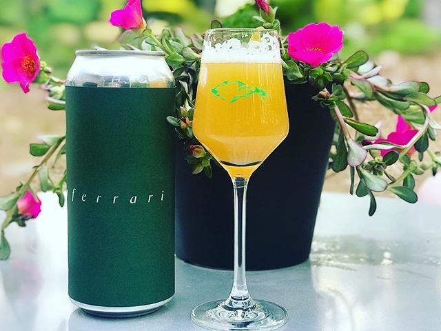 raleighwhatsup's tweet photo. | SUNDAY | Yard beers. @theveilbrewing #greenferrari #IPA #rvabeer #theveilbrewing #yardworkday #weekendvibes https://t.co/shqMRbkczo https://t.co/fsx408hqZv