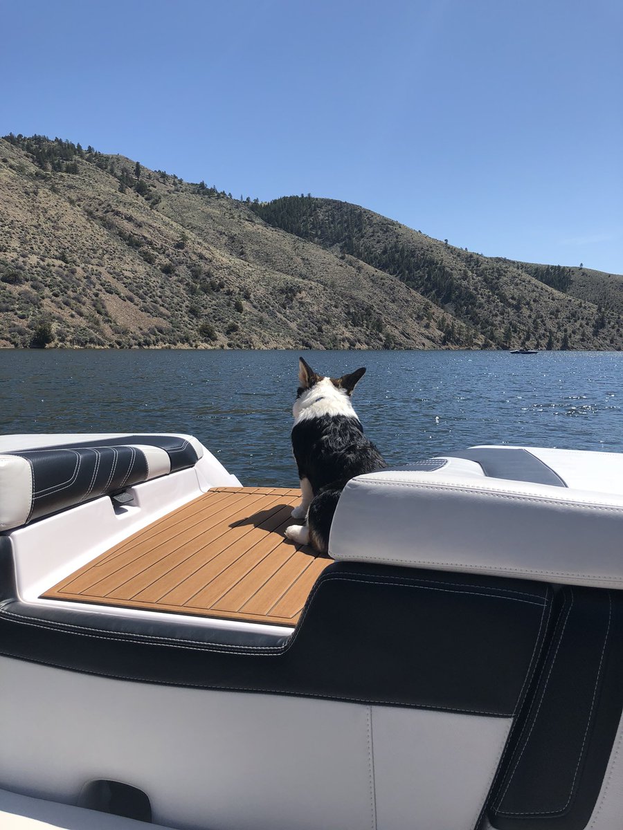 amandagilcher's tweet photo. He thought the view was pretty, but I thought he was prettier ❤️ https://t.co/4b6CXEmfai