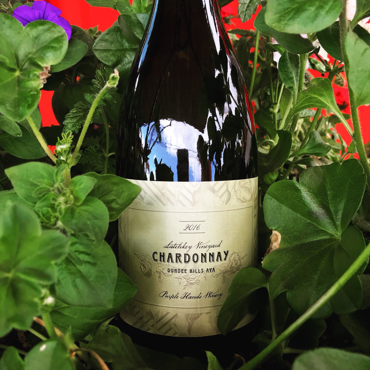 purplehandswine's tweet photo. One more week ‘til the official release of Purple Hands’ debut Chardonnay - the 2016 vintage from our Latchkey Vineyard. 
#purplehandswine #purplehandswinery #purplehandschardonnay #drinkhistory  #oregonchardonnay #bloodoftheearth #latchkeyvineyard #unfinedunfiltered #2016vintage https://t.co/SrC5szY1Sz