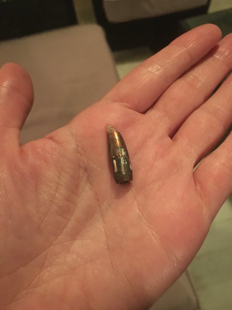 Rebecca Collard tweet media