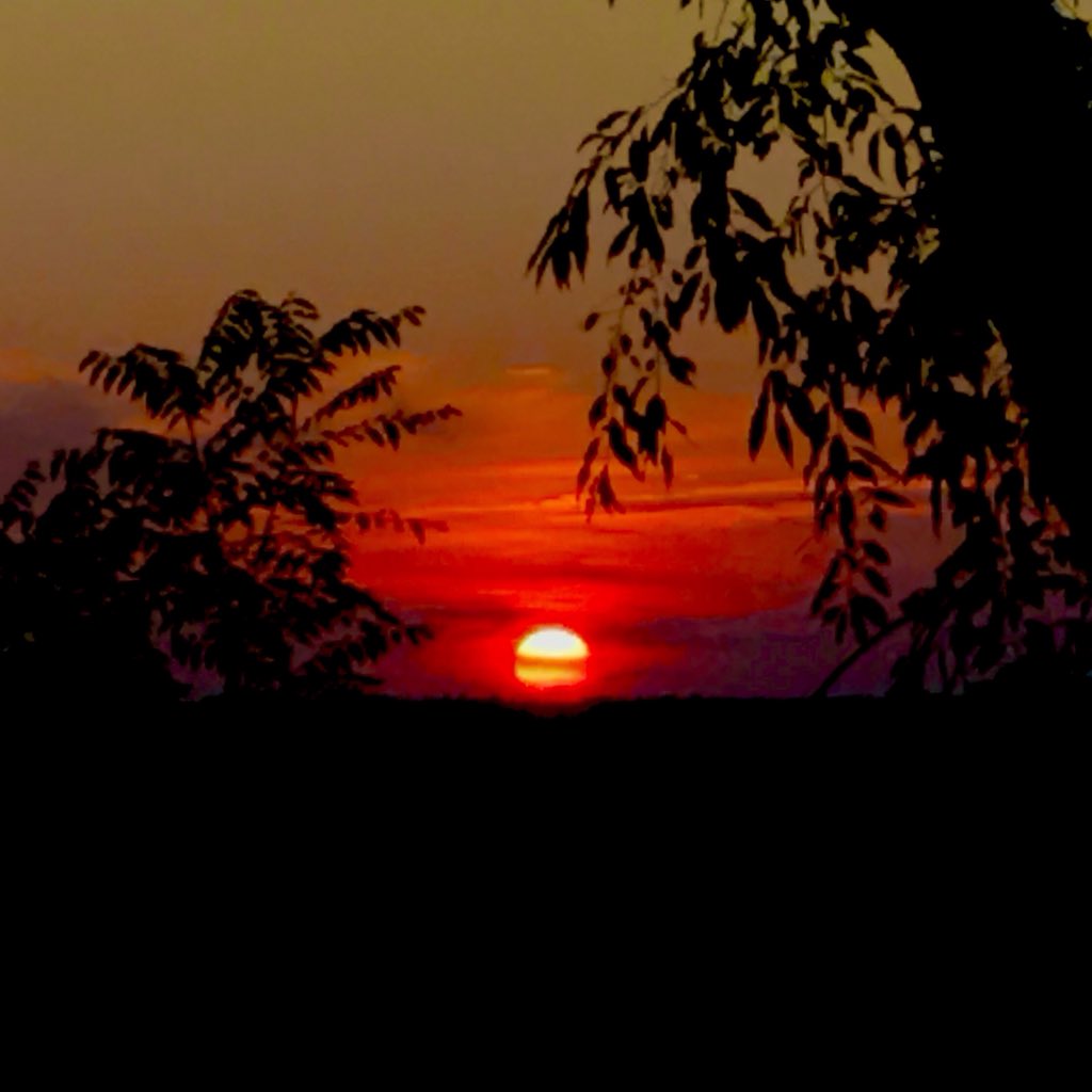 eatlivestay's tweet photo. One of my favorite sunsets from the family farm where you can see, hear &amp; feel nature. See more at #SundaySunsets 
@always5star @RoarLoud @TouringTastebud @FunInFairfax https://t.co/AQ22Bph5av