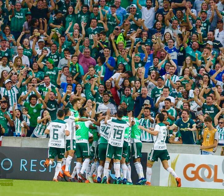Palestrinamente's tweet photo. FOTÃO DA PORRA 😍💚 https://t.co/Mkpmaaniol