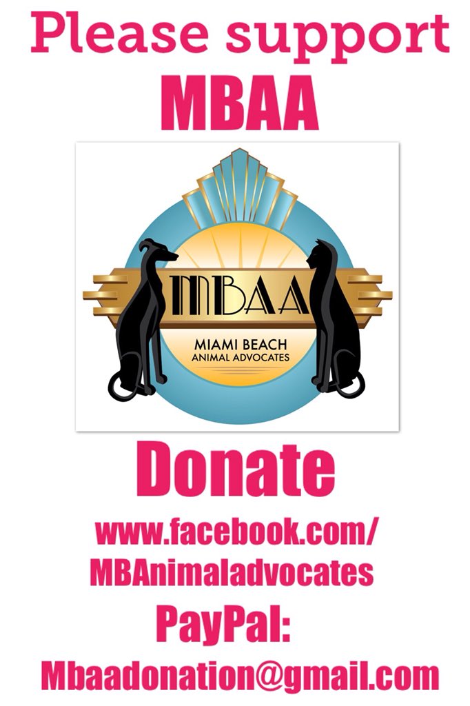 Miami Beach Animal Advocates (MBAA) tweet media