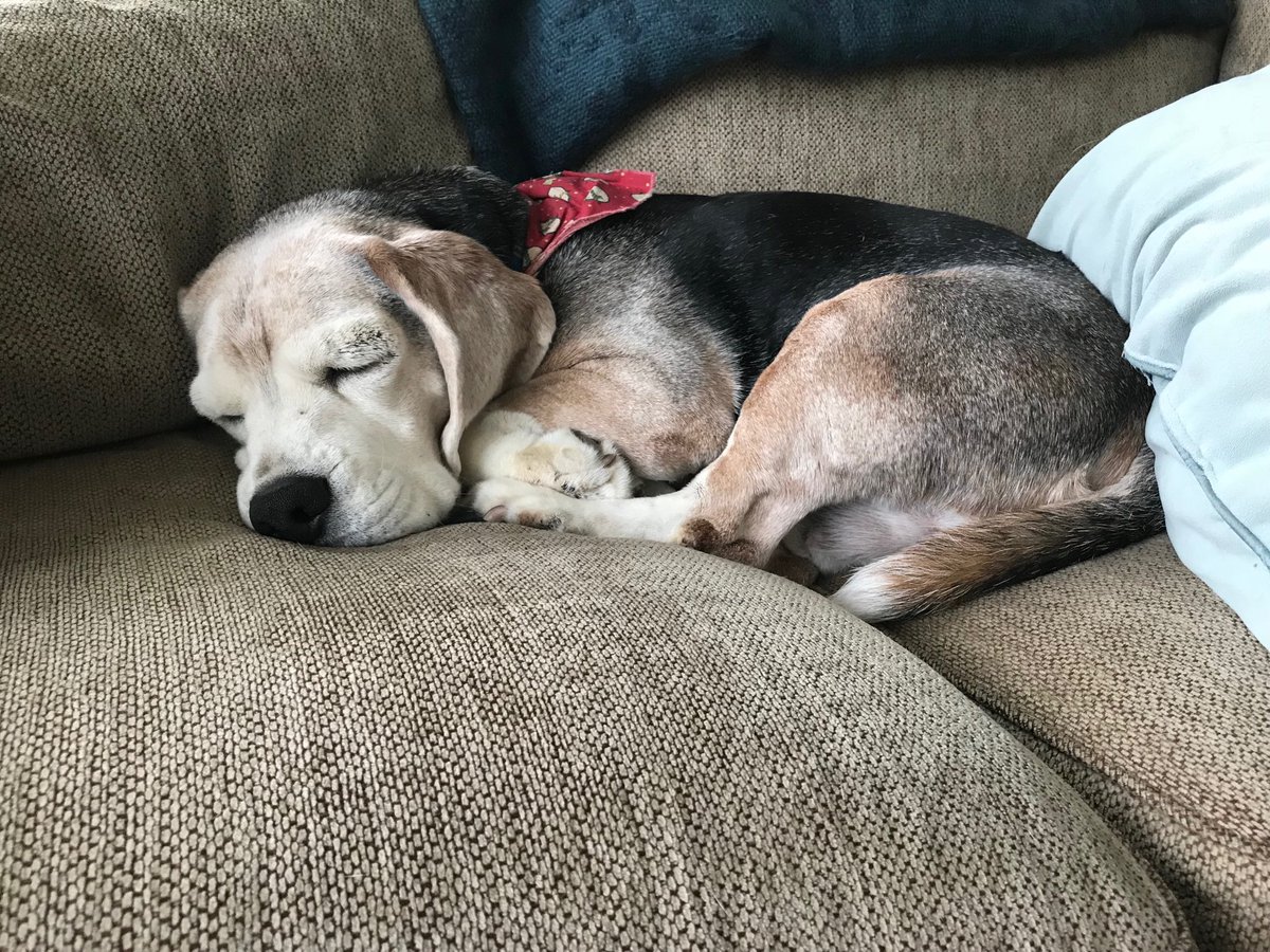 jondanziger's tweet image. My T. A. is cute but worthless. #amgrading