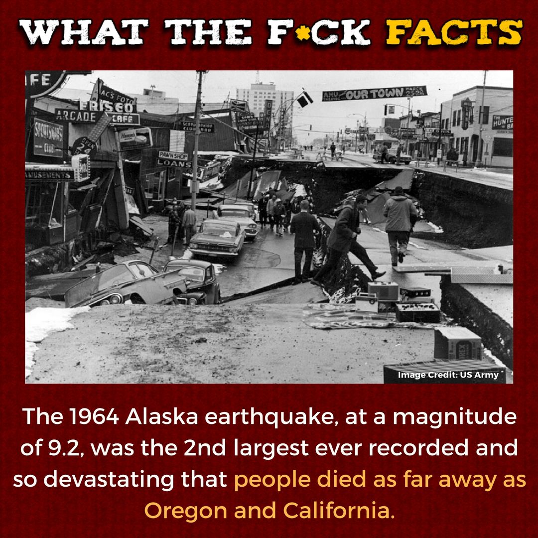 What The F*** Facts (@whattheffacts) on Twitter photo 