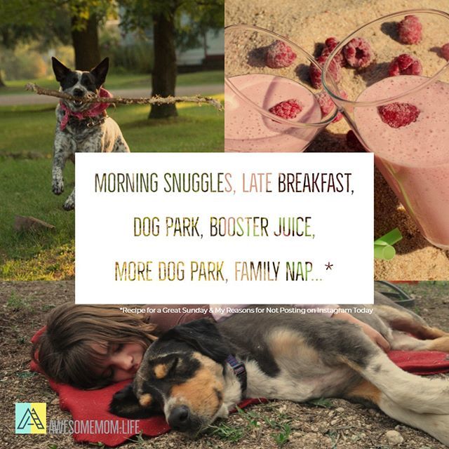 #awesome #mom #sundaymornings #dogpark #boosterjuice #dogpark #naptime #sleepymom #momboss #mompreneur #sahm #momlife #pin #instamom #lifecoaching #lifehacks #metoo #careerequity.#awesome #mom #instatweet