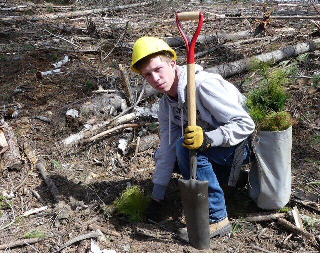 oiwconnect's tweet photo. Did you know that the Ontario government has committed to planting 50 million trees by 2025? To help with this goal, we spent some time planting trees with the students from Opeongo High School in Renfrew! https://t.co/rsuq61TzC3