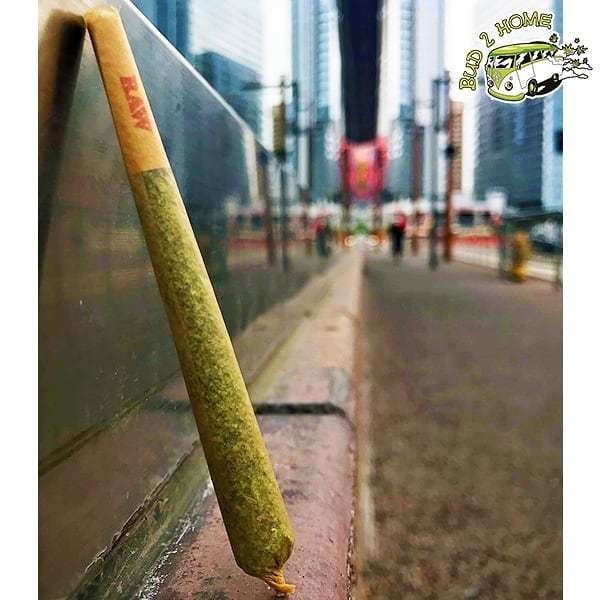bud2home's tweet photo. Perfection comes in many sizes. 👌
.
.
.
.
.
.
#Bud2Home #PassTheDuby #High #MMJ #Canada #CannabisCommunity #Cannabis #HighTimes #MMJPatients #Weednerdnation #WeShouldSmoke #CannabisHeals #CannabisIsMedicine #StonerFamily #StonersOfIG #WeedSocial #Weed420Feed #Weedstagram420 … https://t.co/yZ1ZTvn8Jx