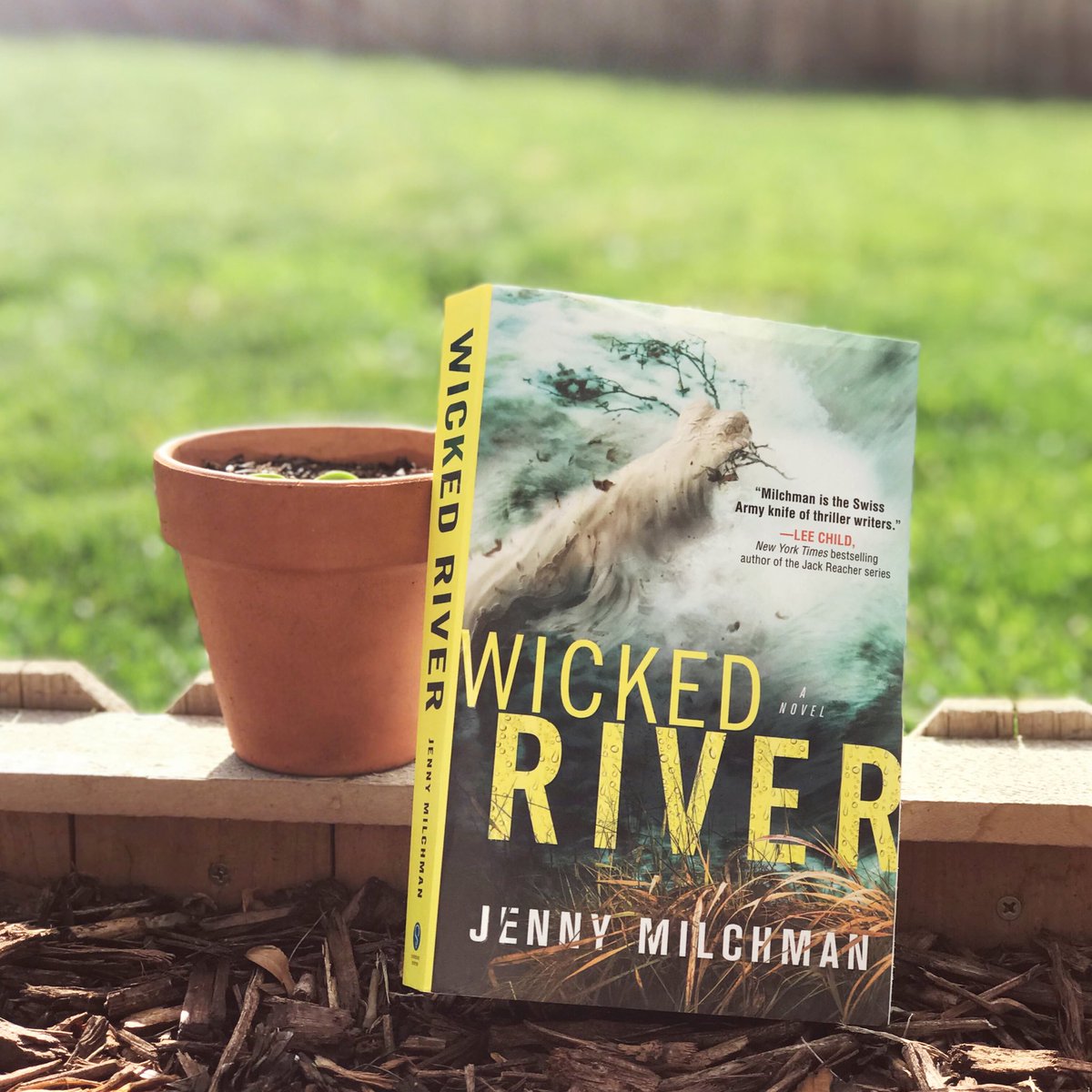 thebookwheel's tweet photo. Perfect outside reading weather with this new #bookmail from @jennymilchman! 

#wickedriver #30authors #amreading #books https://t.co/4MGmpl5ico