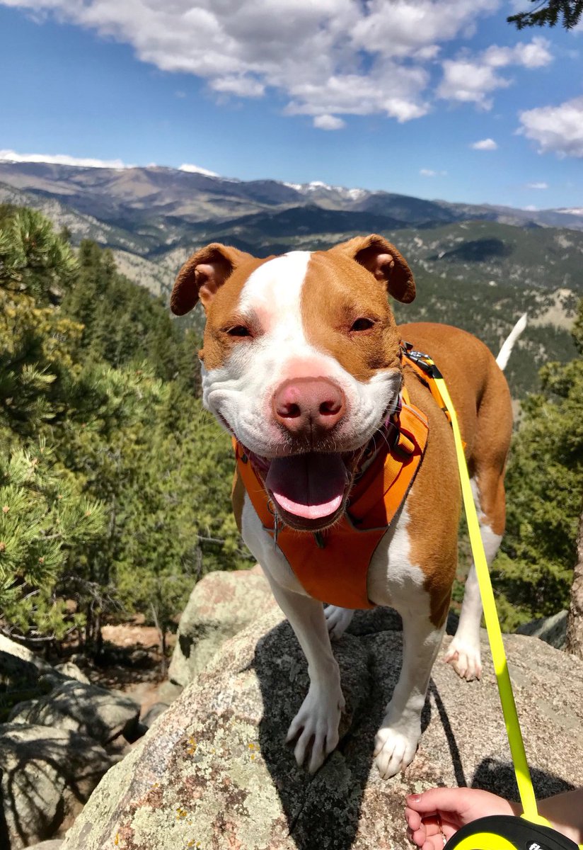 ImperfPerfRDN's tweet image. Hello from Colorado christiewheeler.com/2018/05/06/hel…