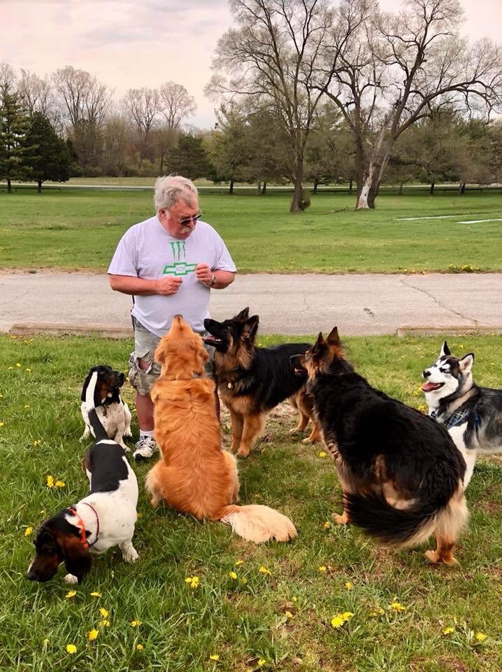 husky_link's tweet photo. Met a man at the park today who gave me and my friends treats! https://t.co/1A3Y74RxWK