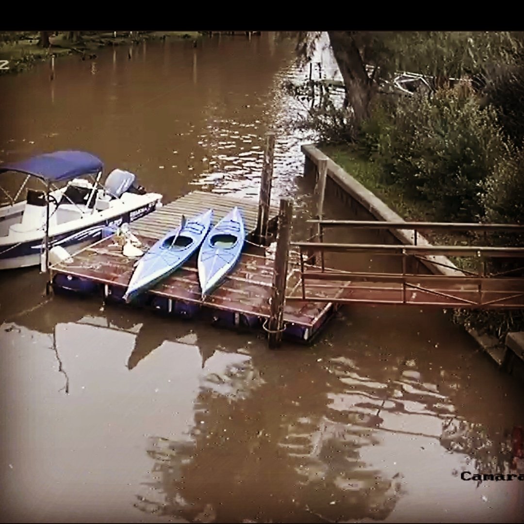 Delta Rowing (@deltarowing) on Twitter photo 
