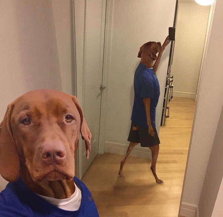 curabichera1's tweet photo. aunque les duela tengo 14 años💯😍😍 https://t.co/4cwD07TnKe
