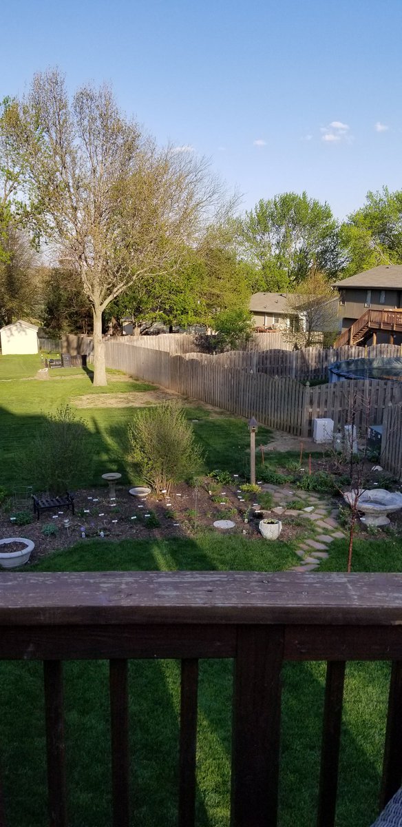 UNLScottEvans's tweet photo. Three weeks ago and today. #SpringInNebraska #NebExt https://t.co/TIaNT4BkA0