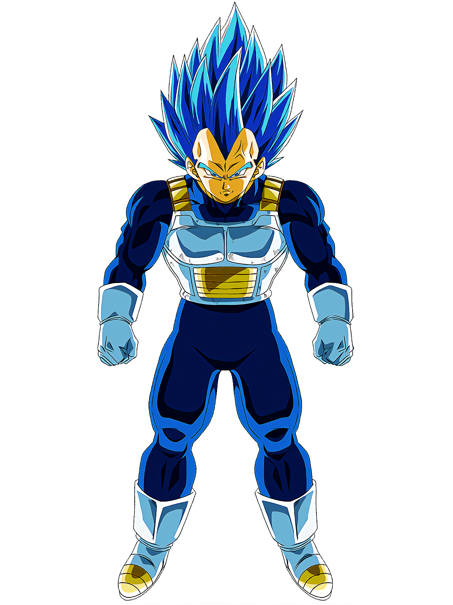 Ssj2 Majin Vegeta VS Super Saiyan Blue Evolution Vegeta(魔人ベジータVSブルーエボリューションベジータ)  