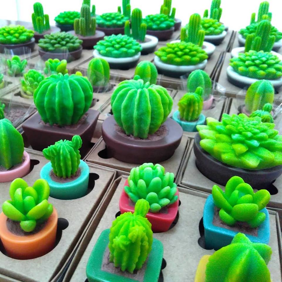 🌵😍

#Saboaria #Artesanato #Sabonetes #DavanSaboaria #Feitoamao #Arte #FeitoNoBrasil #ProdutoArtesanal #Davan #Artesa #FazerPorAmor #SabobeteGlicerinado #Suculentas #SuculentaGlicerinada #Flores #PlantaPerfumada #PresenteOriginal #CheiroBom