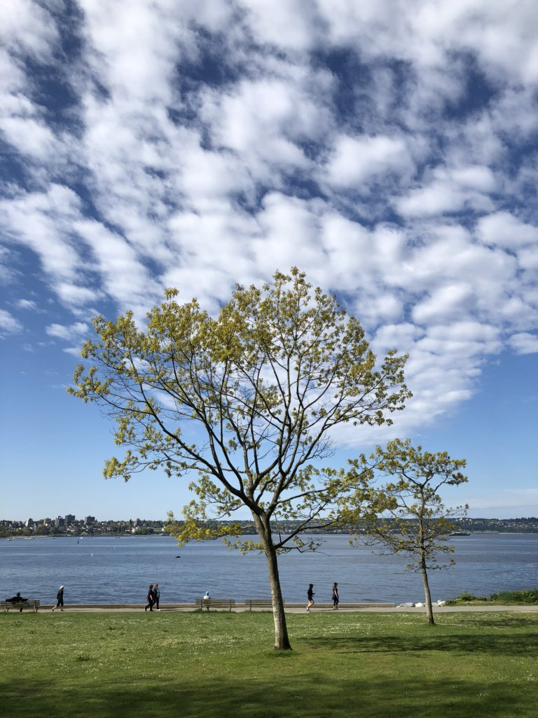 SonikaArora604's tweet photo. Another beautiful day today!☀️😎I hope all of you got a chance to enjoy the sun! #EnglishBay #Vancouver #exploreBC #iPhoneSometimes https://t.co/qycjto4GBW