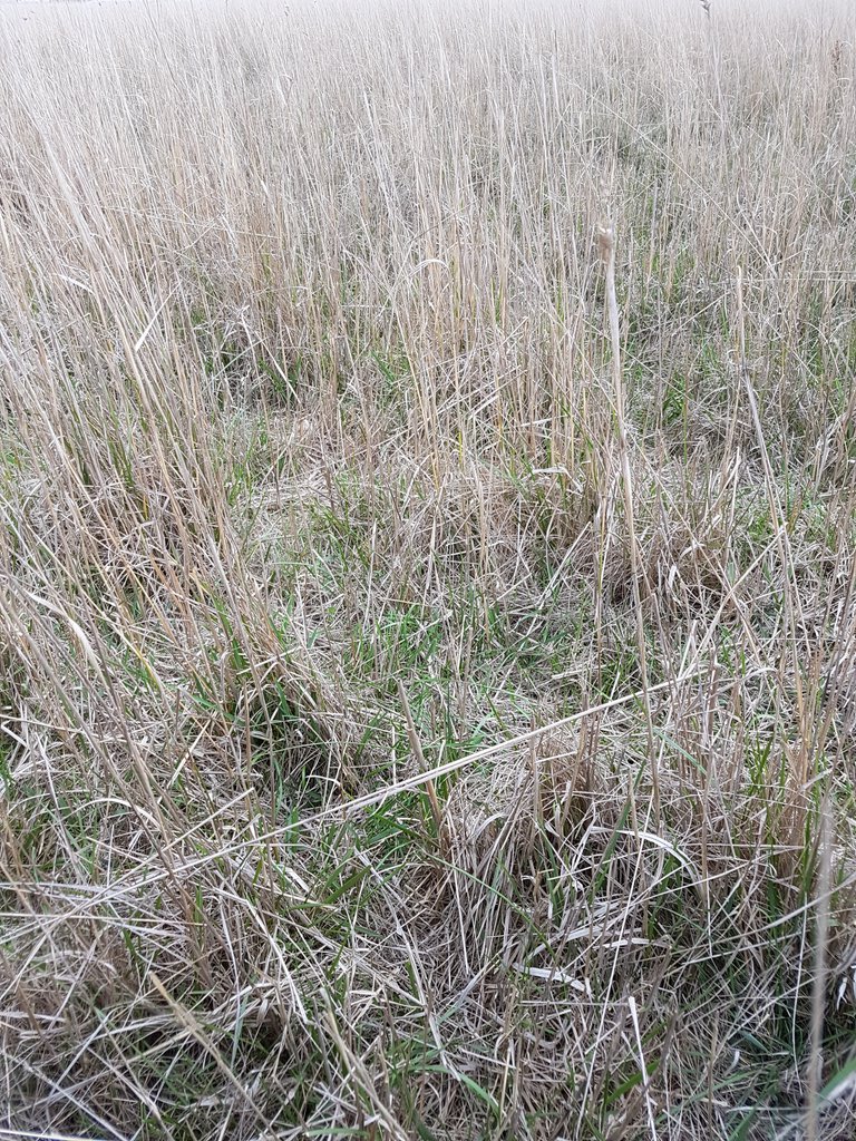 Jack England tweet media