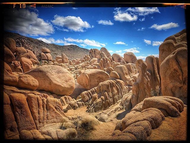 mrdanielgross's tweet photo. Let your mind wander. #nationalparkgeek #FYPyes #nps #nationalpark #nationalparks #americasbestidea #findyourpark #goparks #nationalparkfoundation #everykidinapark #nature #naturelovers #npca #nationalparktrust  #protectourpubliclands #climatechangeisrea… https://t.co/N06dKfYyba https://t.co/pEtntYxXjs