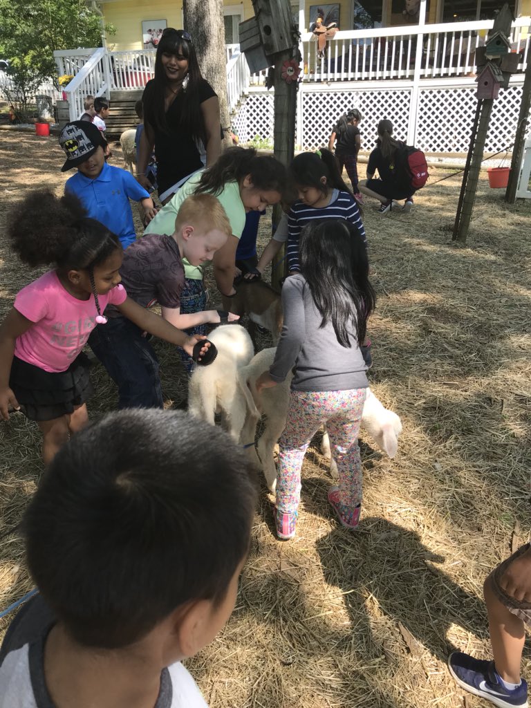 PreK Art Barn Field Trip. Had a wonderful time learning about farm animals, honey bees, and compost. <a href="/CantonSTEM/">Canton STEM Academy</a>
