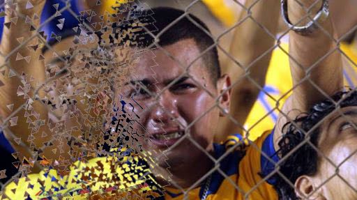 FreeStyleFutMx's tweet photo. No me quiero ir Sr. Liguilla https://t.co/9LbHfhooxu