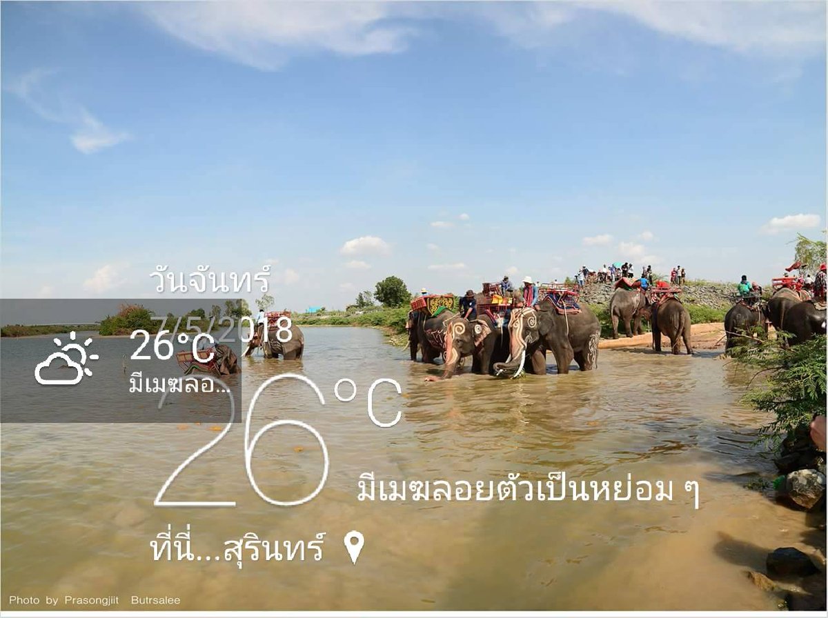 KhwanSaren's tweet photo. Good morning from Surin,Thailand
@ChomSomchai @tri333 @michaelrabone 
@RatchanokWong 
#reviewsurinprovince
#Thailand 
#elephantThai 
#รีวิวอีสาน
#lonelyplanet https://t.co/7ctt3DunKb