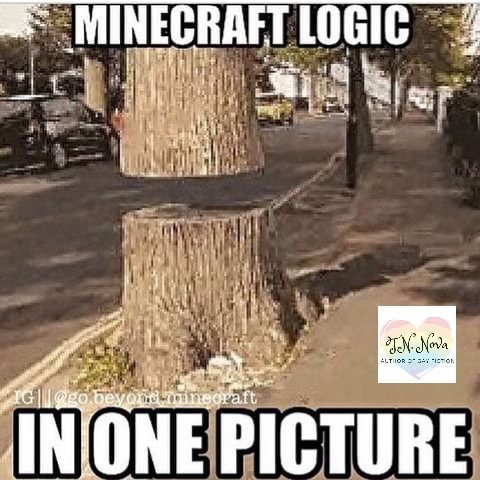 T_N_Nova's tweet image. #MinecraftLogic #geekatheart #Minecraftaddict #Minecraft