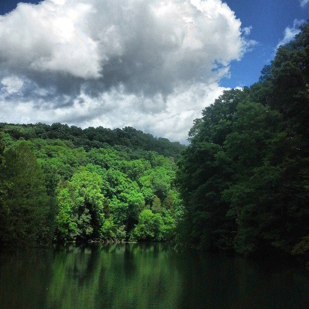 I love #coffee ow.ly/twFG30jRqqH #elevacity <a href="/AAA_Stripe_Pro/">Anna</a> <a href="/KnoxvilleBump/">KnoxvilleBump</a> <a href="/KnoxvilleGo/">KnoxvilleGo</a> <a href="/CJ_TN/">Chuck Jones</a> <a href="/Tracy719/">Anna🌹</a>