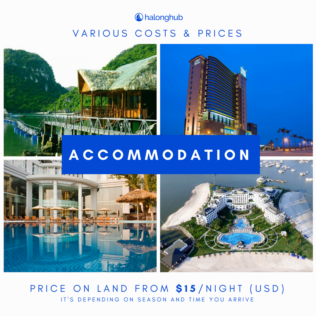 HalongHub's tweet photo. If you are wondering why there is such a variety of Halong Bay cruise prices and you're afraid of being scammed, there’s no need to worry – we’ve got you covered. https://t.co/Xe22c529g2