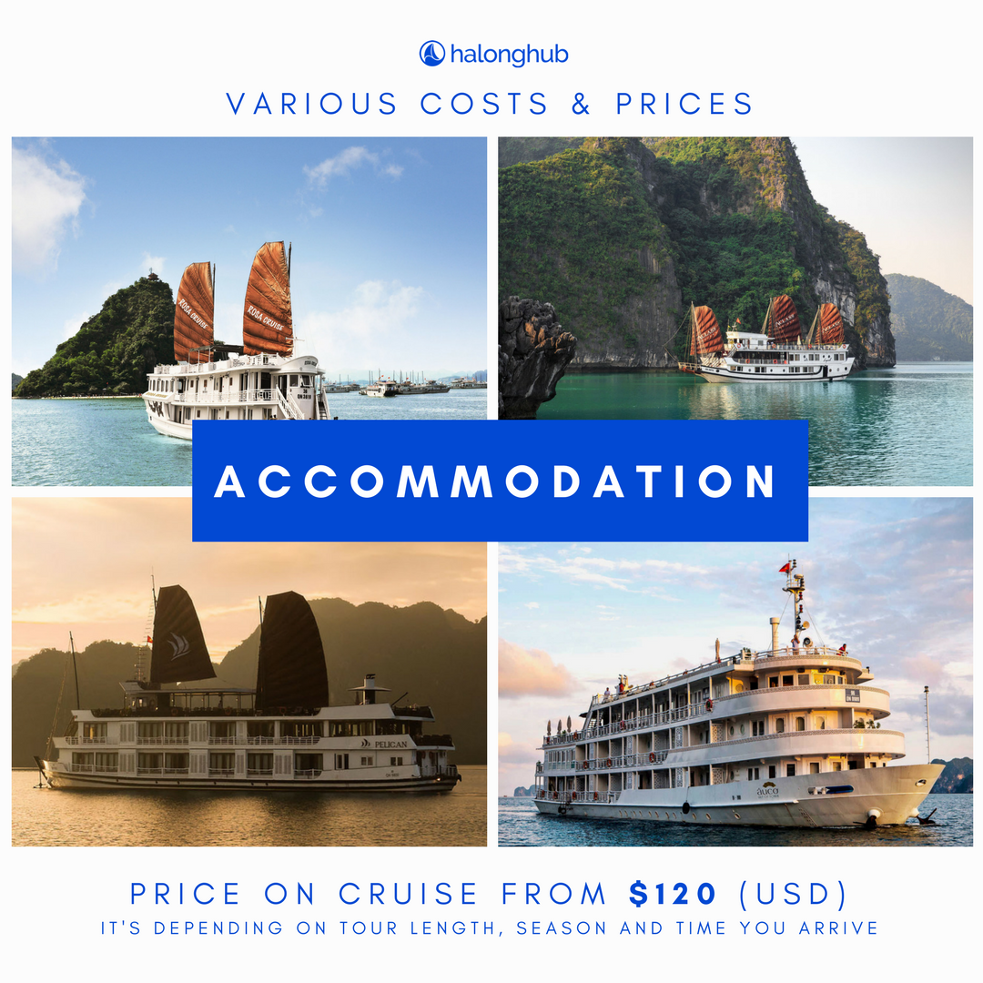 HalongHub's tweet photo. If you are wondering why there is such a variety of Halong Bay cruise prices and you're afraid of being scammed, there’s no need to worry – we’ve got you covered. https://t.co/Xe22c529g2