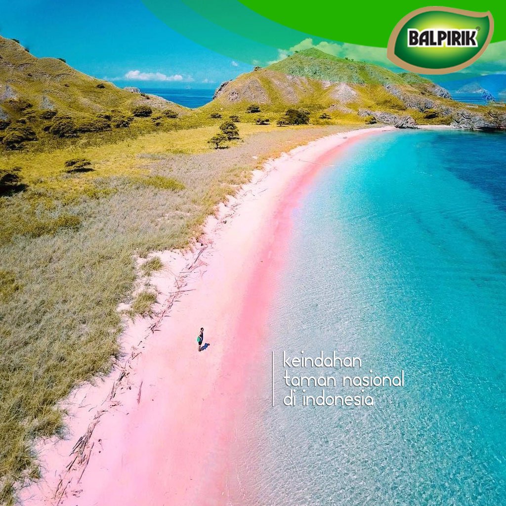 artopharmaID's tweet photo. Taman ini memang memiliki fungsi utama sebagai tempat penangkaran hewan endemik komodo. 
Namun, taman nasional ini memiliki keindahan tersembunyi yaitu Pink Beach. hayo siapa yang mau kesini? #Balpirik #komodo #keindahan #senin #minyakkayuputih #minyakkayuputihbalpirik #twitter https://t.co/PEpFl5kfL7