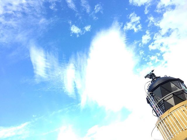 Corran Lighthouse Lodge tweet media