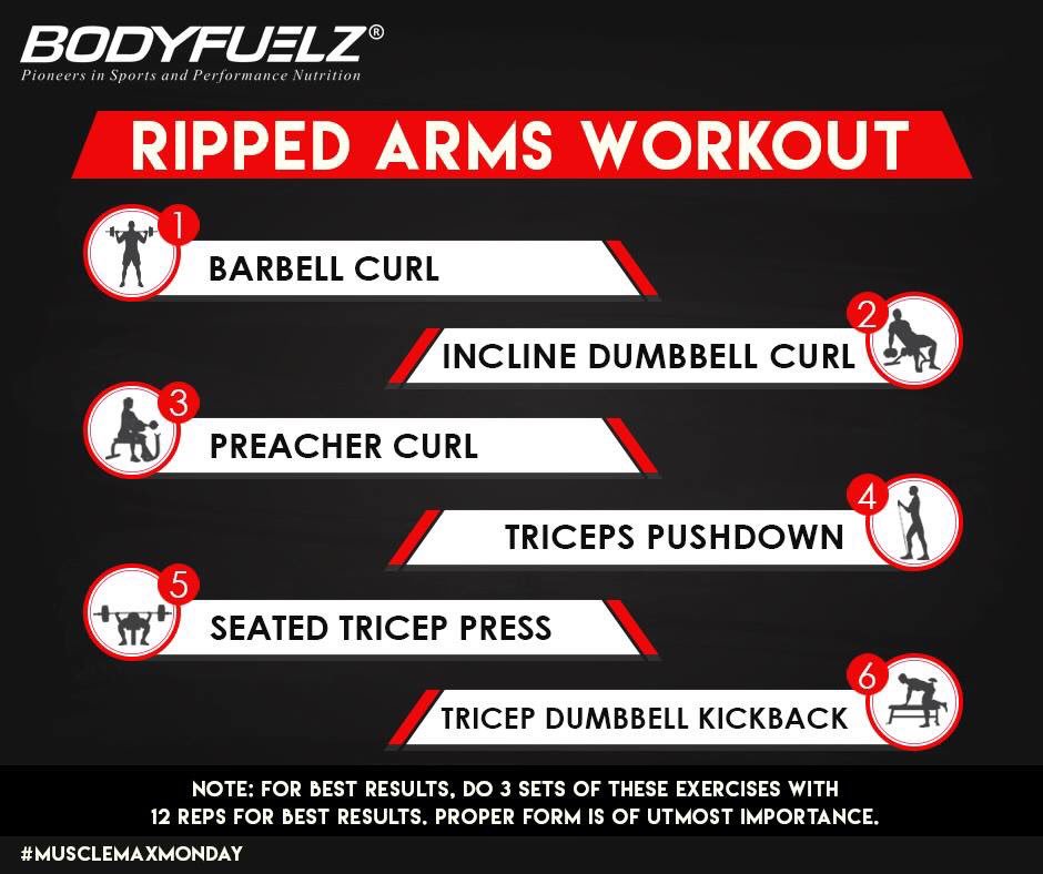 Bodyfuelzindia's tweet photo. Do you want #RippedArms? Practice these #armworkouts in good form and build serious mass.
#Bodyfuelz #Musclemaxmonday #buildseriousmass #bodybuilding #sweatit #HardcoreWorkouts #performancenutrition https://t.co/4emm22oy7G