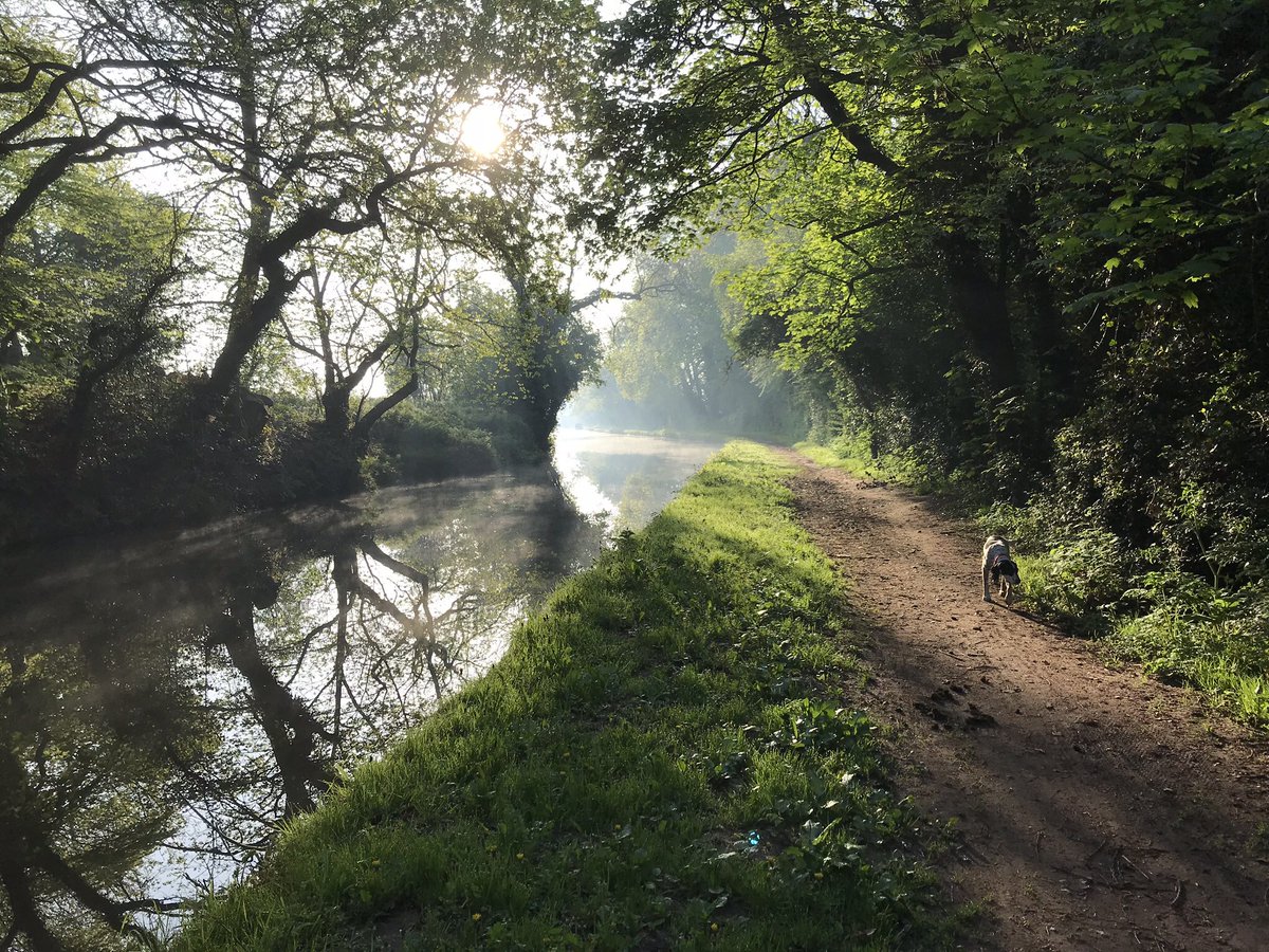 Really lovely early morning walk, today, on T&M. “Tripping the light fantastic”
#baotsthattweet #earlymorningwalks