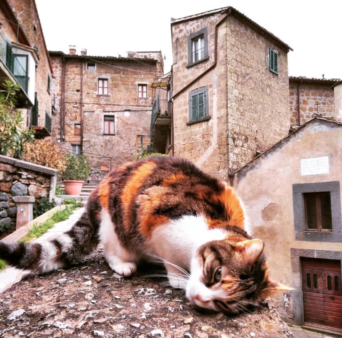 RT igersviterbo: Buongiorno da #igersviterbo!
Inizia un’altra settimana e, si sa, i lunedì sono sempre faticosi...

📍Bagnoregio
📷 Grazie a sdandyinthesky per lo scatto! 
📌Usa i tags #igersviterbo e #incredibletuscia per le tue foto.