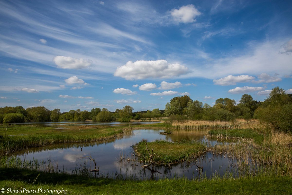 spearcephotos's tweet photo. A lovely visit to @SWTLackfordLake #Suffolk this week! @SimplySuffolk @InSuffolk @Suffolkdays @Eastmagazines @UniquelyMag @suffolkmag @BuryStEdBeyond @practphoto @allaboutsuffolk @suffolkwildlife @LoveSuffolkSky @Visit_Suffolk @suffolk_tourism @EssentialSFK @bestofengland https://t.co/RALFt3cAGv