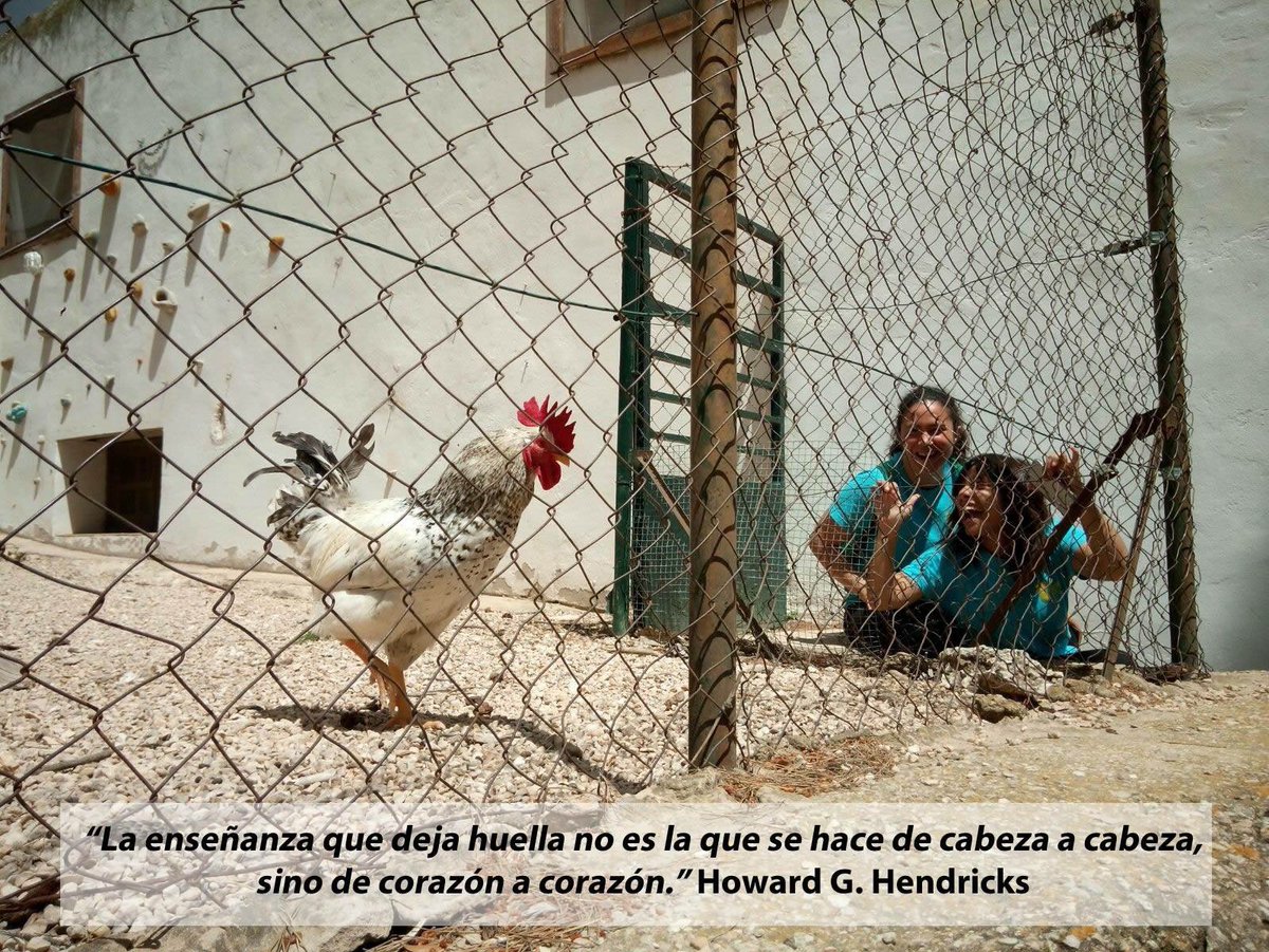 “La enseñanza que deja huella no es la que se hace de cabeza a cabeza, sino de corazón a corazón.” Howard G. Hendricks

¡Feliz lunes! ¡Feliz semana!