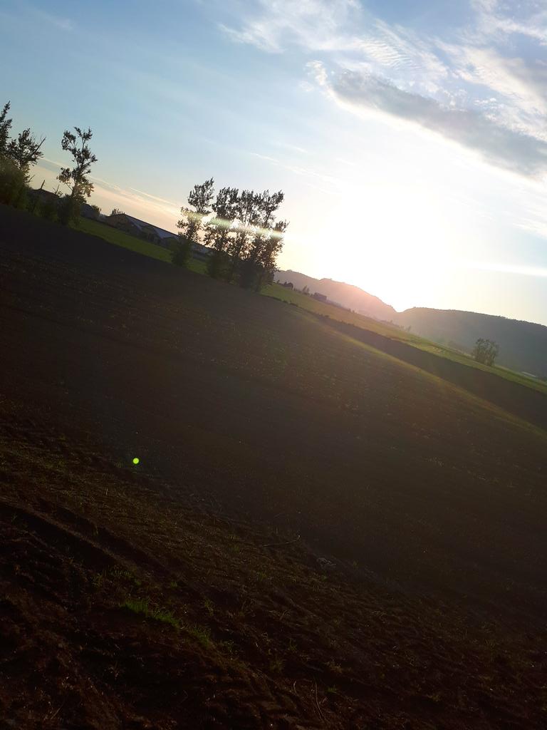 bluymes's tweet photo. #newseeding https://t.co/9sCgnQ7rr5