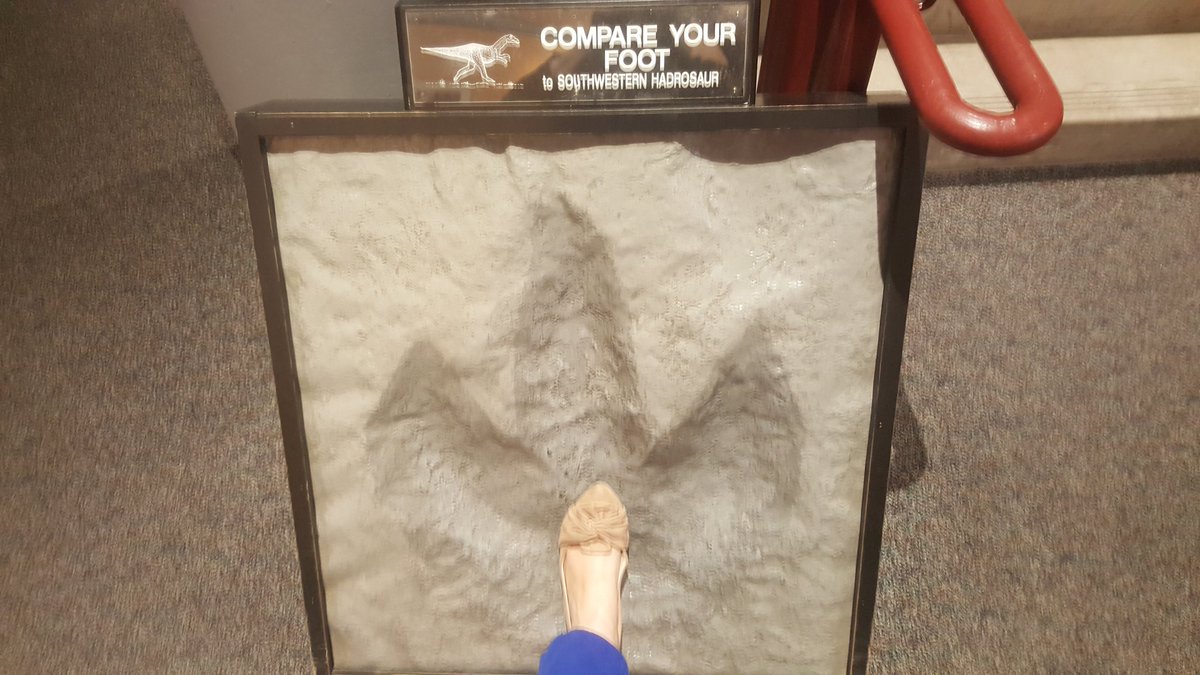 SariCuster's tweet photo. .@AAMers #outofthisworldparty stop 2 @AzMNH #AAM2018 #AAMSMJ https://t.co/4uLVTKGa4c