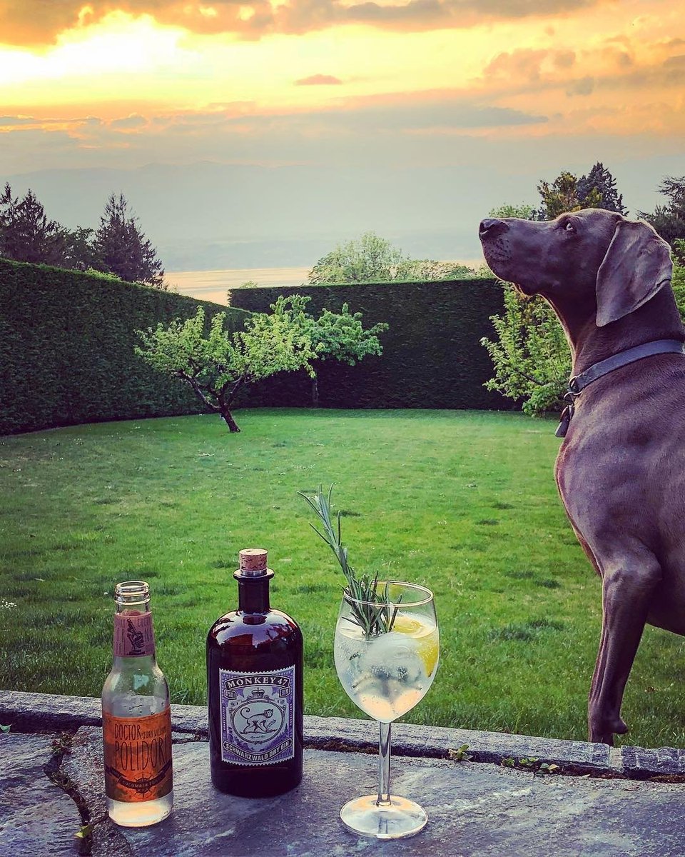 DrinkingWhisky's tweet photo. #ginoclock #photography https://t.co/oNCPY226gk
