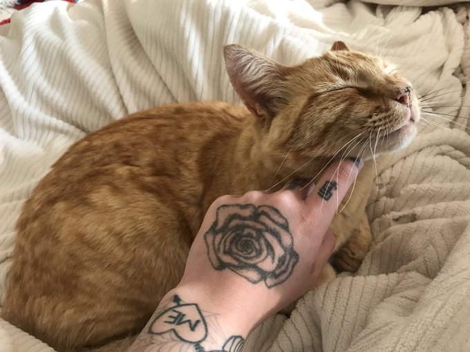 Some pictures of Juice to bless your timeline ✨ https://t.co/DbqVOANZGw<a href="/tag/tsph"class="tags"><span>#tsph</span></a>