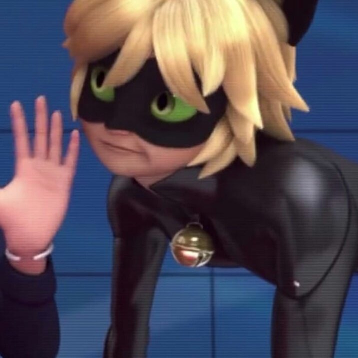 lalyblog's tweet image. meow