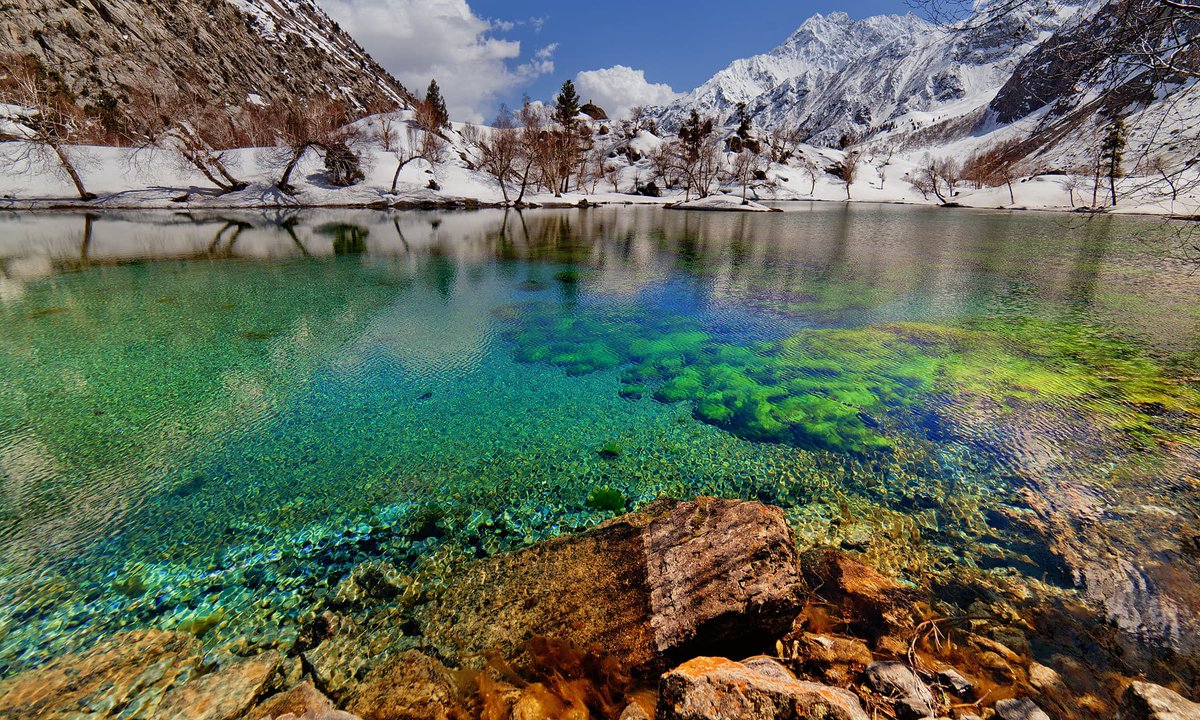 TouristBlog's tweet image. Naltar is a river near Gilgit. If you really want to experience paradise in this world, you should visit Naltar at least once. This place will make you fall in love with it.
#naltar #valley #paradise #love #peace #experience