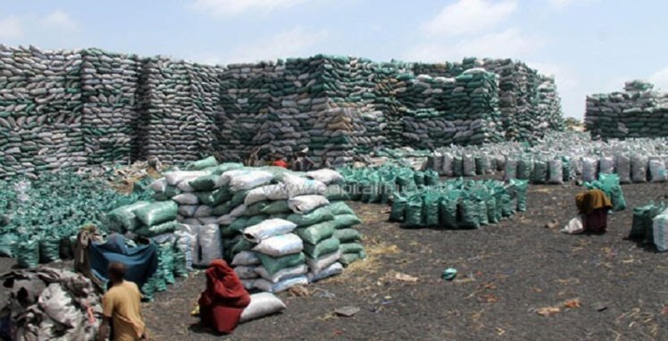 UN Environment Programme tweet media